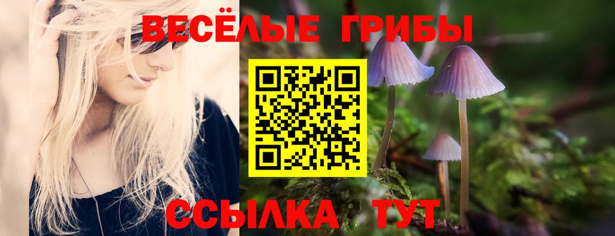 Назрань  Галлюциногенные грибы MAGIC MUSHROOMS  Вход с VPN 